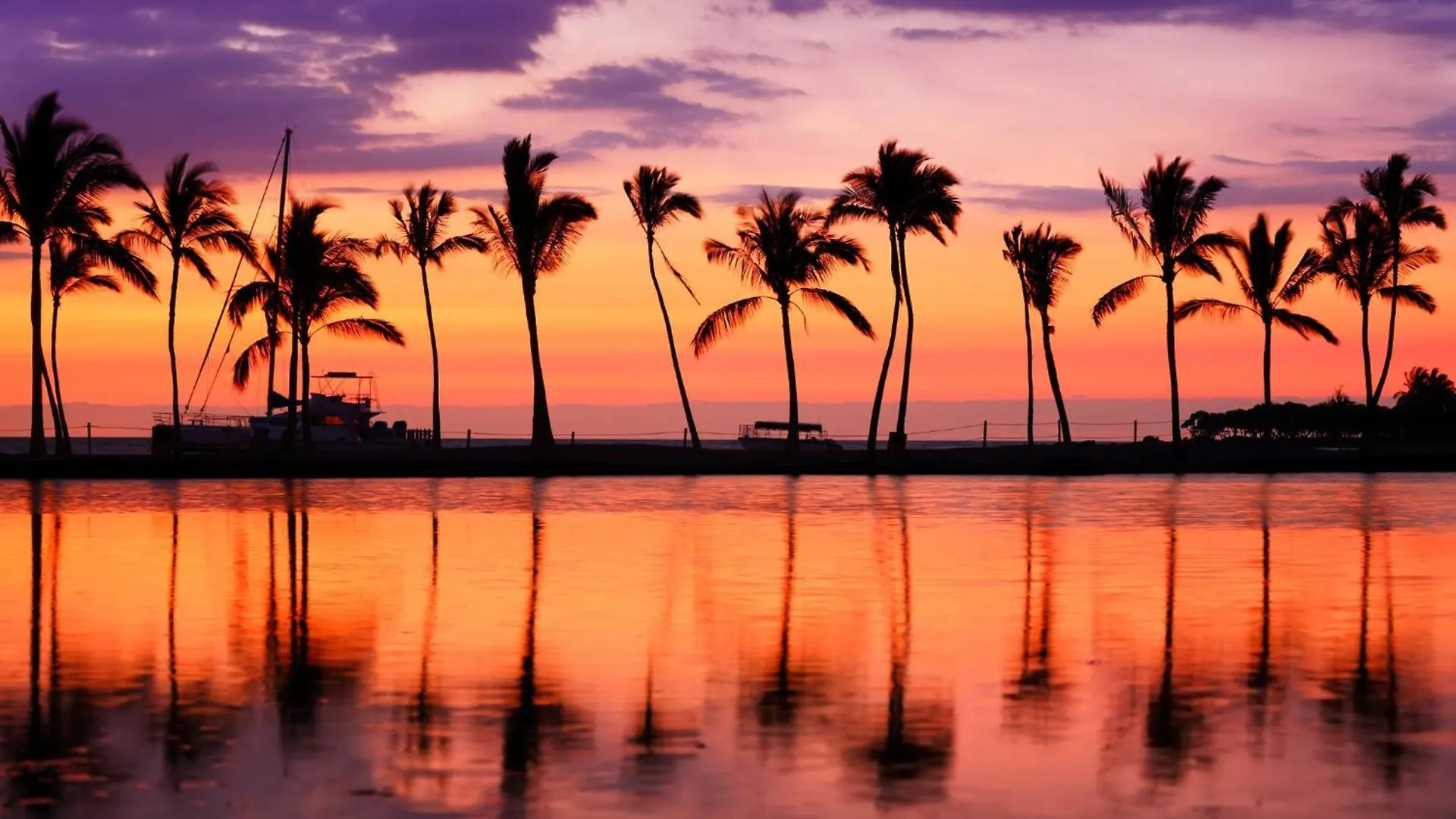 Remodeled 1Br Near Waikiki Beach With Free Parking! Гонолулу 0*,  США